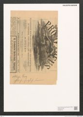 Diatomeae indet. Zeichnungen Sammlung Grunow (NHMW-BOT-W0369779)